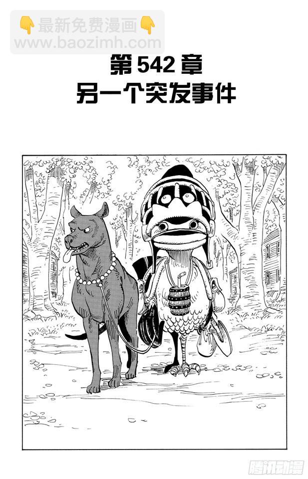 🍹航海王 第542话 另一个突发事件 第8页