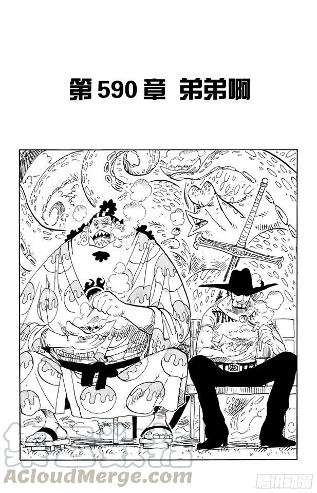 🍹航海王 第590话 弟弟啊 第1页