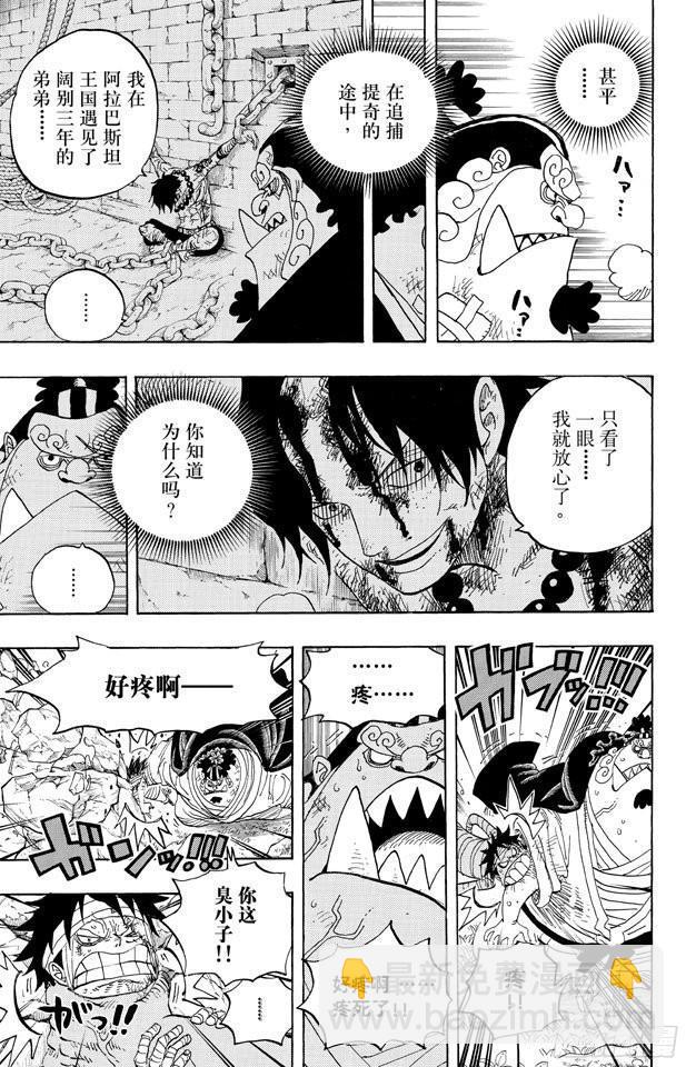 🍹航海王 第590话 弟弟啊 第13页