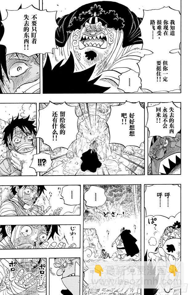🍹航海王 第590话 弟弟啊 第15页