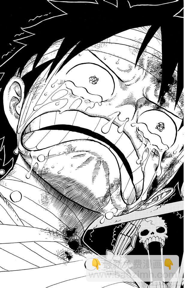 🍹航海王 第590话 弟弟啊 第17页