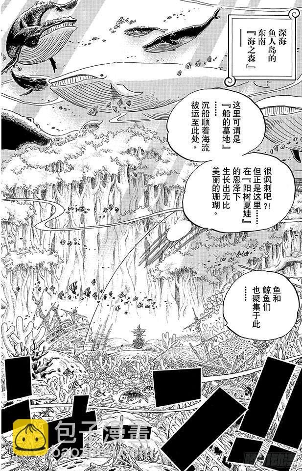 🍹航海王 第616话 复仇的纪念日 第10页