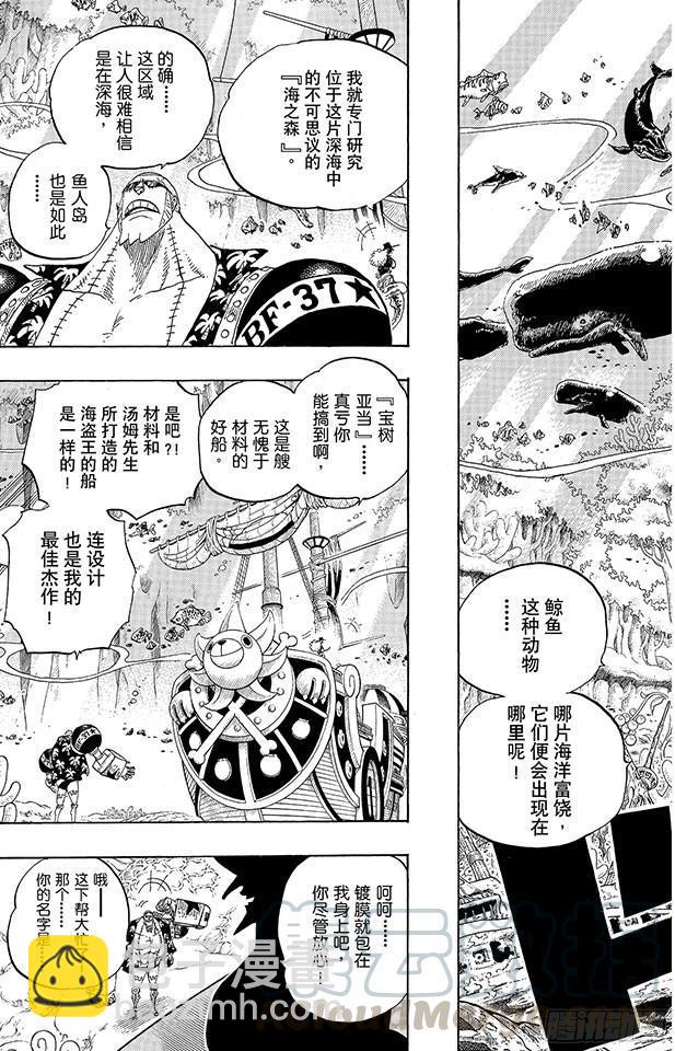 🍹航海王 第616话 复仇的纪念日 第11页