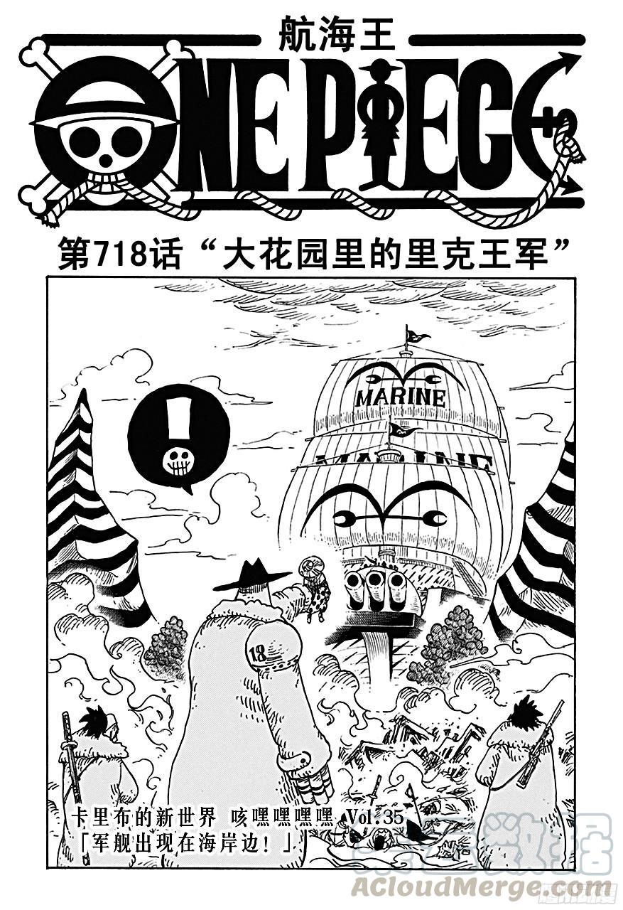 🍹航海王 第718话 大花园里的里克王军 第1页