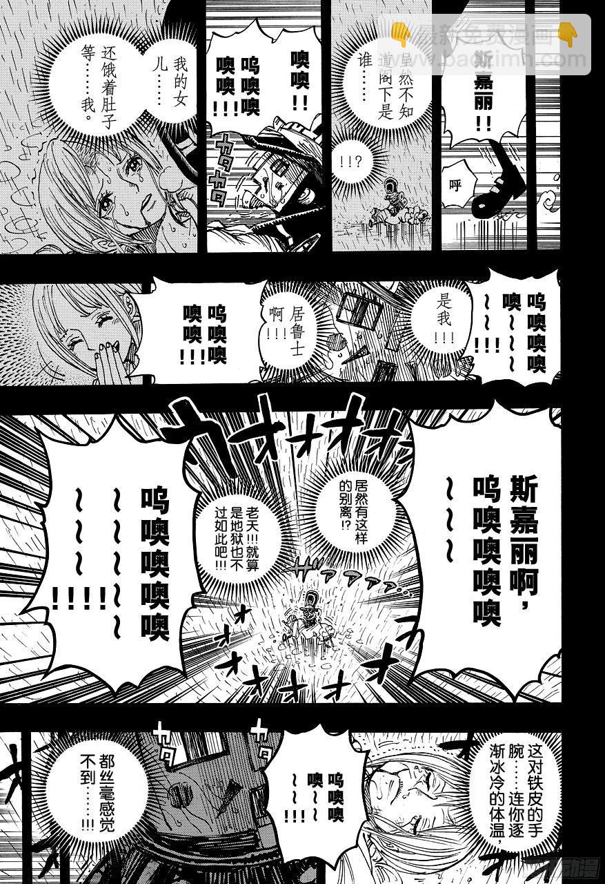 🍹航海王 第742话 永远都在你身边 第13页