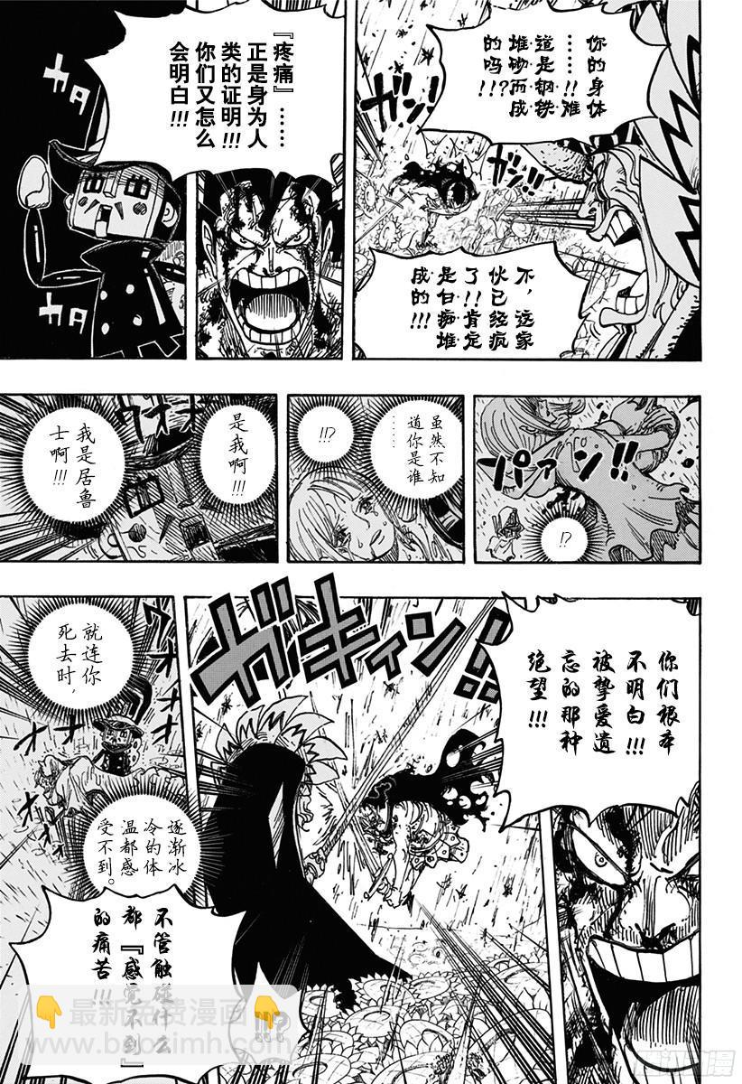🍹航海王 第776话 竞技场的英雄 第15页