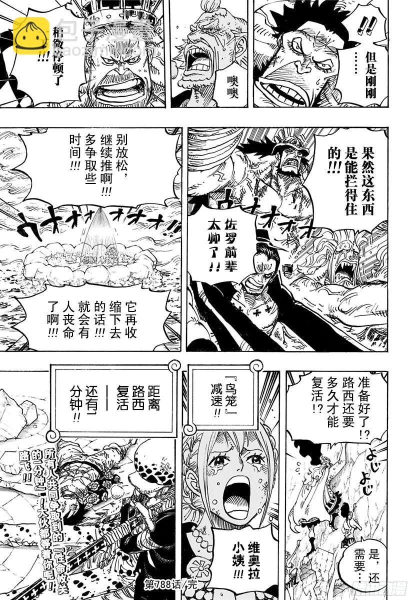 🍹航海王 第788话 我的战斗 第17页