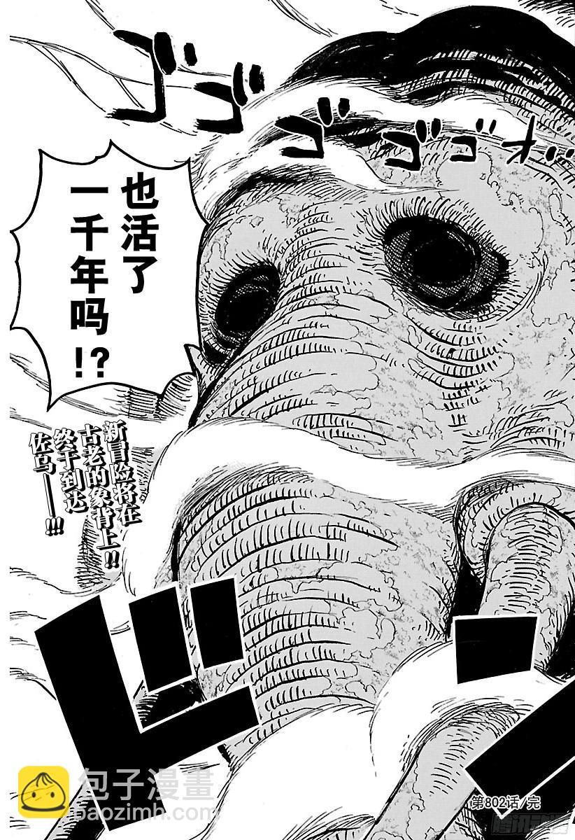 🍹航海王 第802话 佐乌 第18页