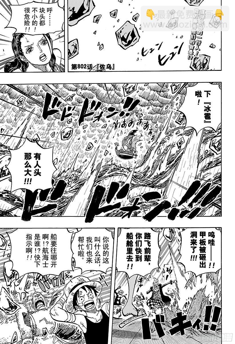 🍹航海王 第802话 佐乌 第4页