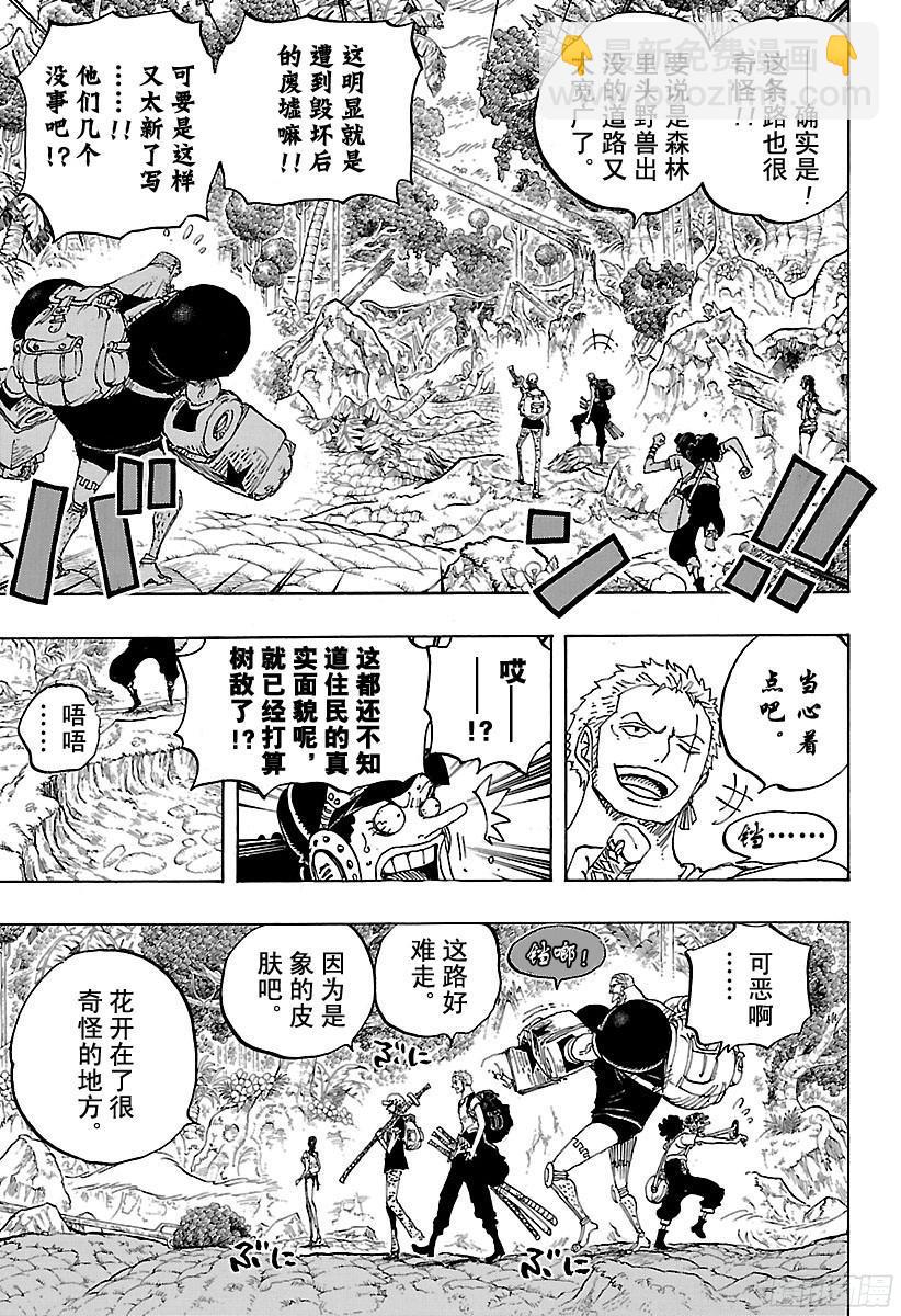 🍹航海王 第804话 象背之国的冒险 第13页
