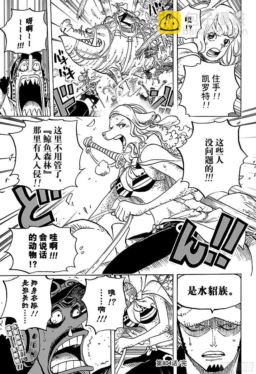 🍹航海王 第804话 象背之国的冒险 第17页
