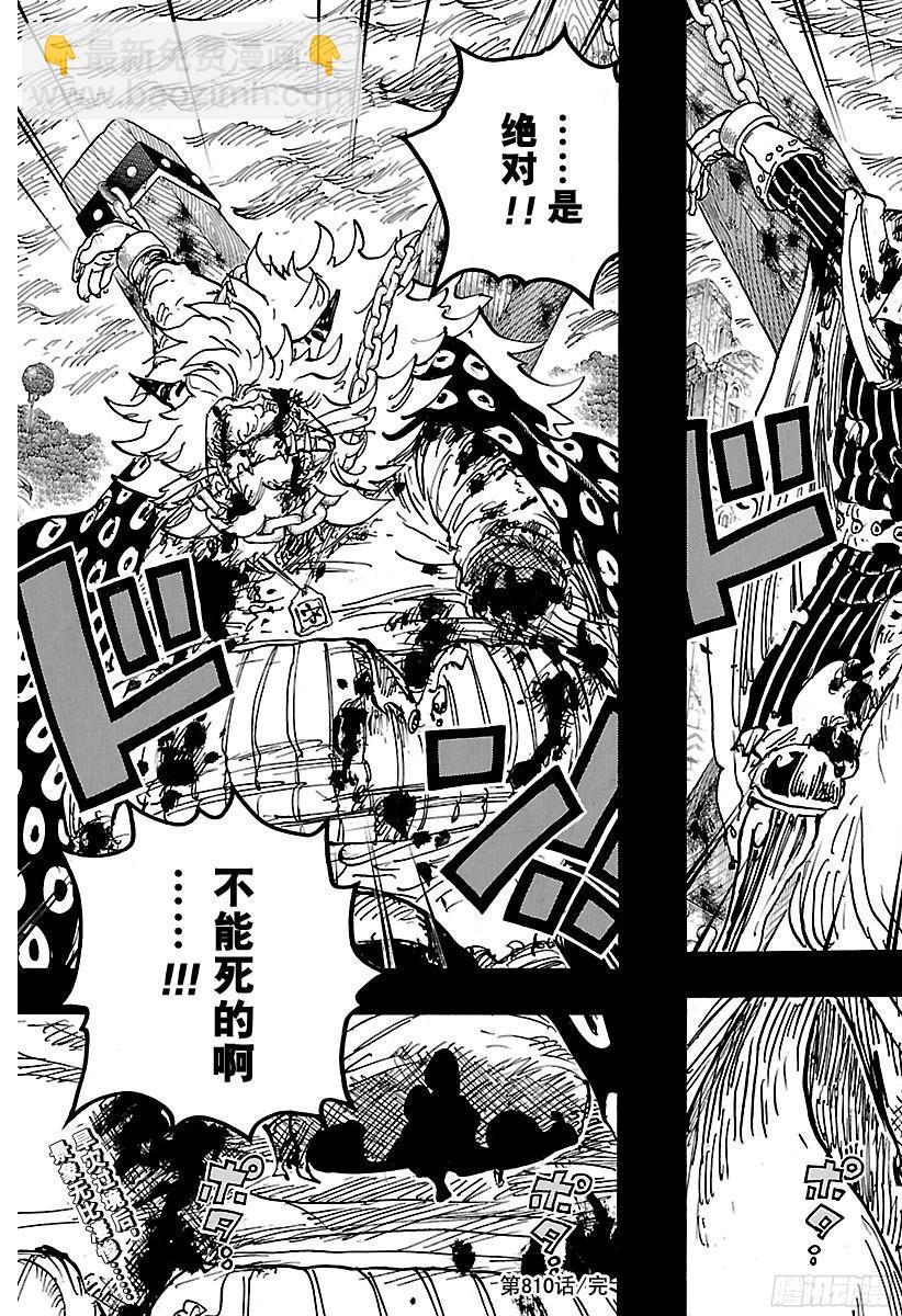 🍹航海王 第810话 卷眉帽一行、登陆 第17页
