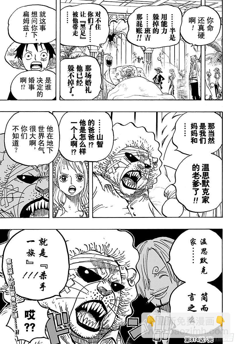 🍹航海王 第814话 见猫蝮蛇老大去 第17页