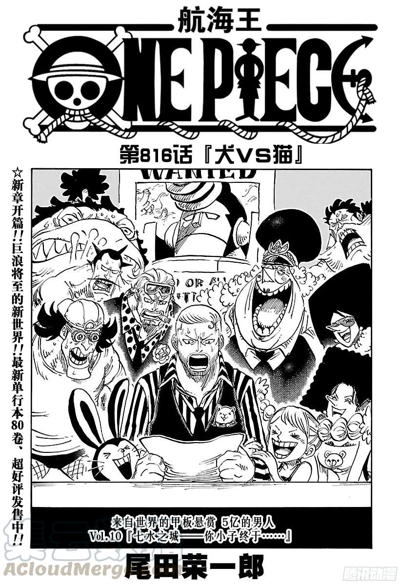 🍹航海王 第816话 犬 VS猫 第1页