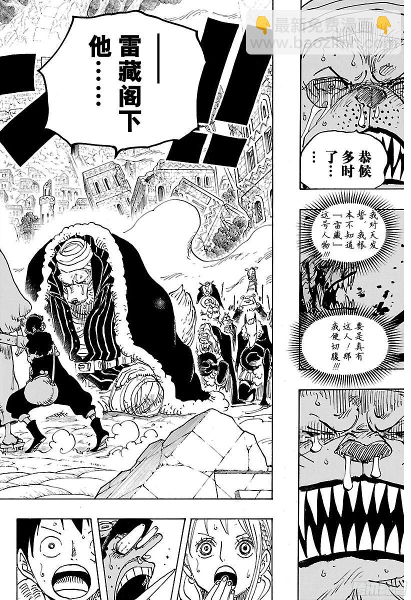 🍹航海王 第816话 犬 VS猫 第14页