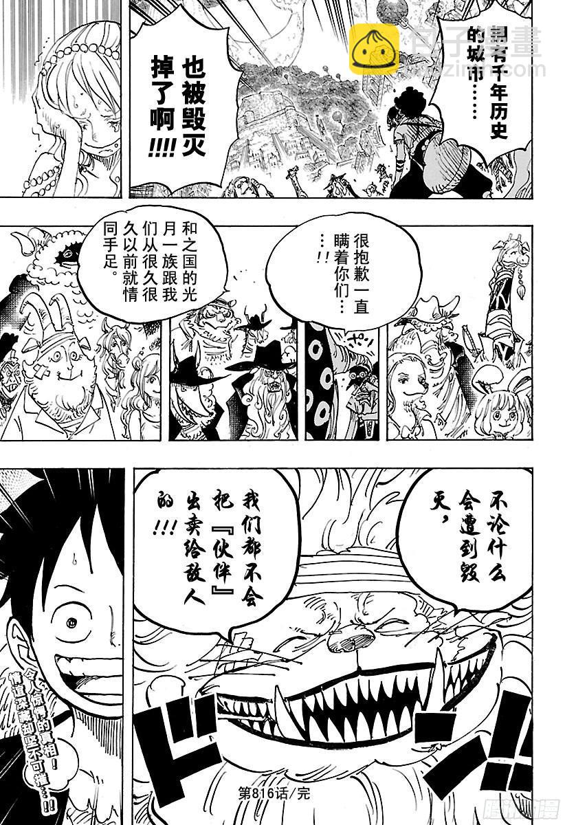 🍹航海王 第816话 犬 VS猫 第17页