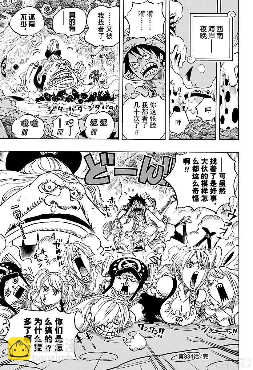 🍹航海王 第834话 我的梦想 第17页