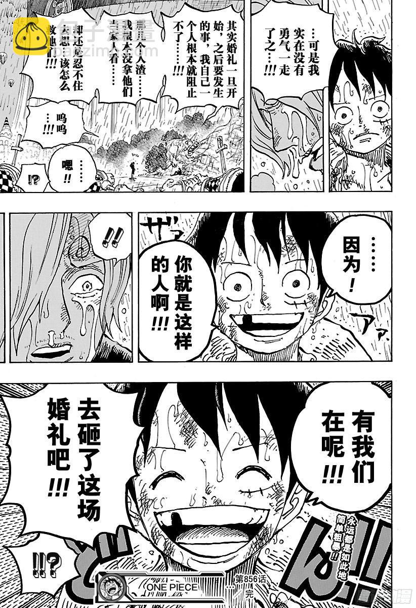 🍹航海王 第856话 骗子 第17页