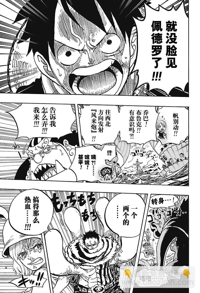🍹航海王 第878话 纯毛族 侠客团 团 第10页