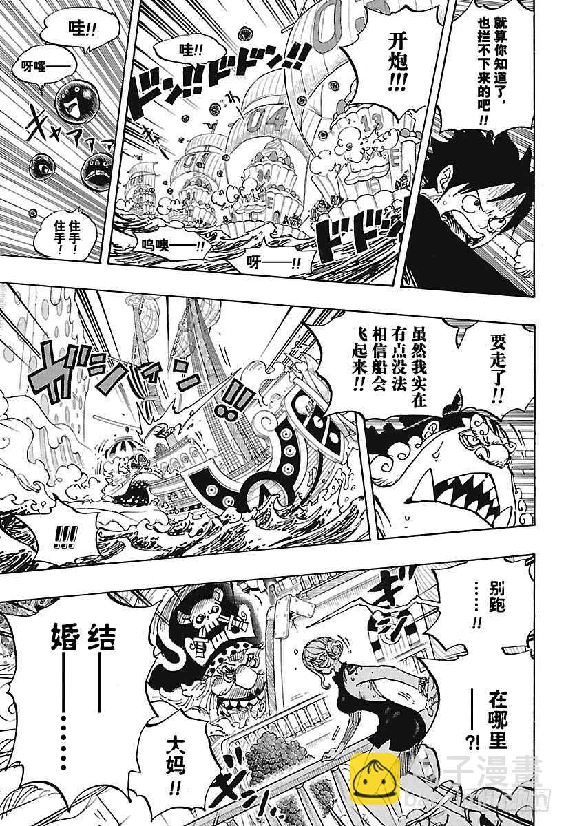 🍹航海王 第878话 纯毛族 侠客团 团 第14页