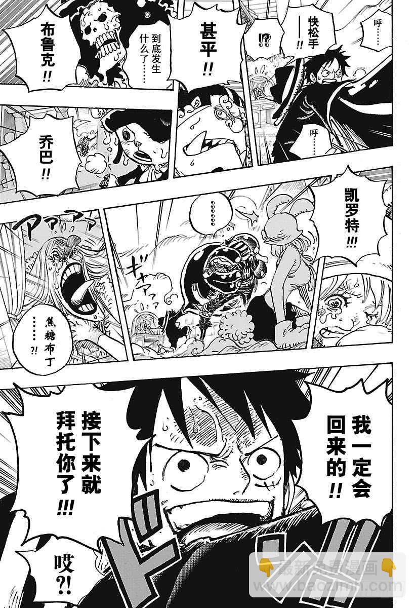 🍹航海王 第878话 纯毛族 侠客团 团 第16页