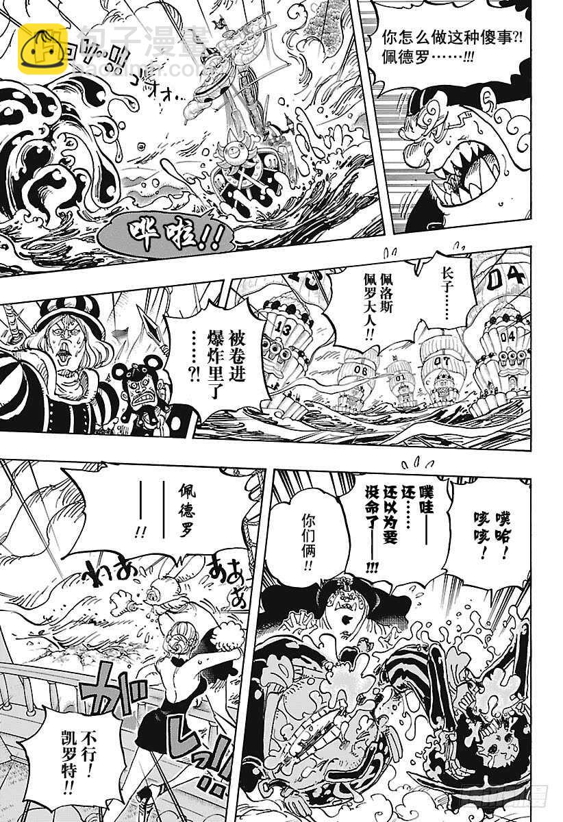 🍹航海王 第878话 纯毛族 侠客团 团 第8页