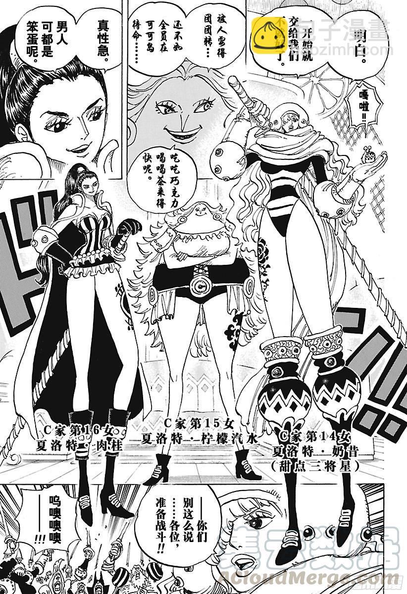 🍹航海王 第892话 强敌认证 第11页