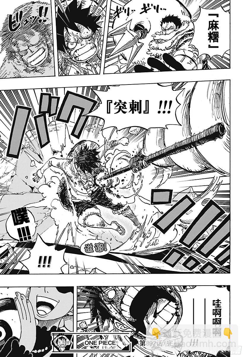 🍹航海王 第892话 强敌认证 第17页