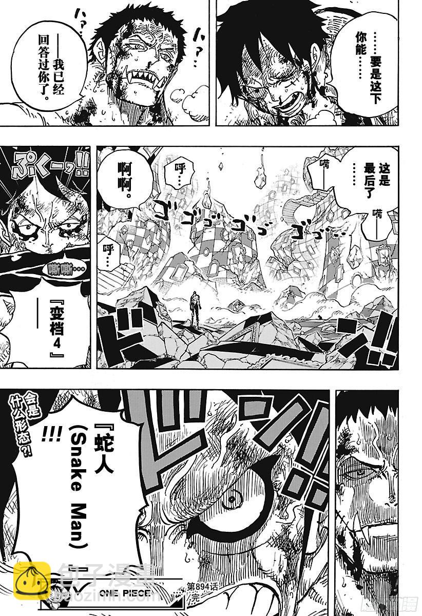 🍹航海王 第894话 0点5分 第17页