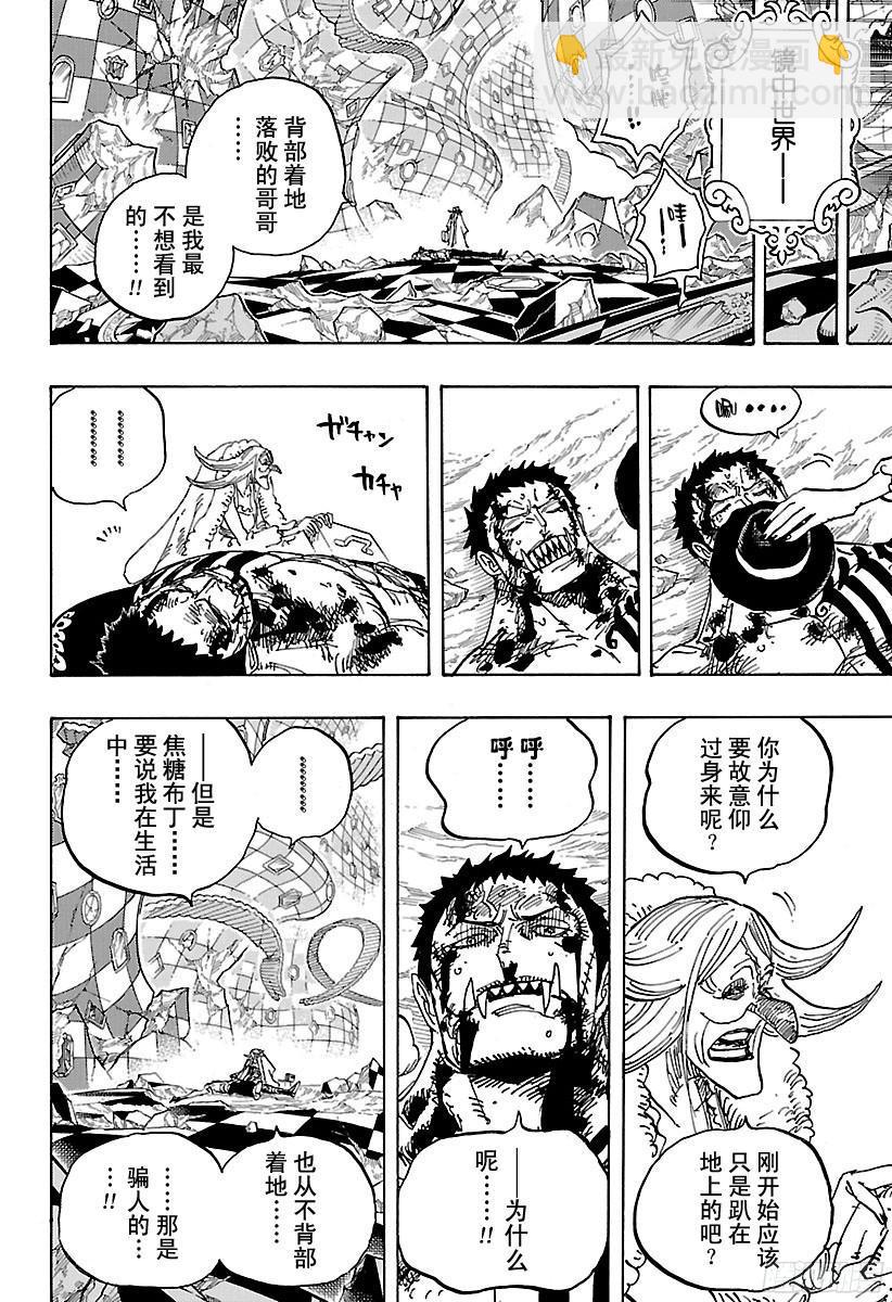 🍹航海王 第902话 END ROLL 第13页