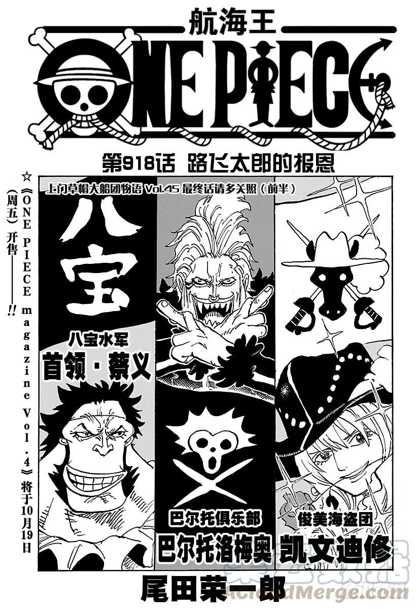 🍹航海王 第918话 路飞太郎的报恩 第1页