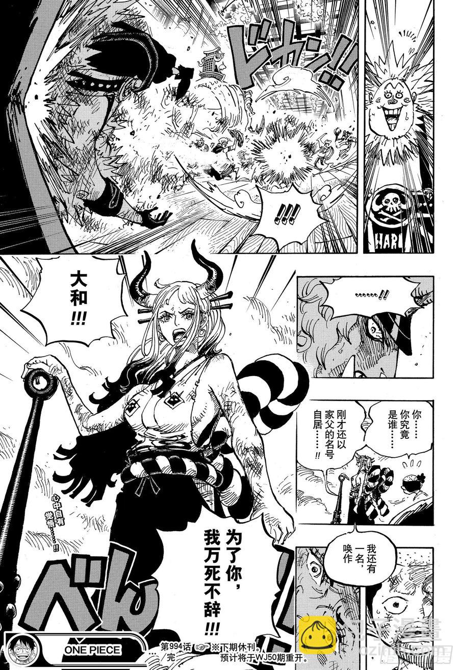 🍹航海王 第994话 又名大和 第17页