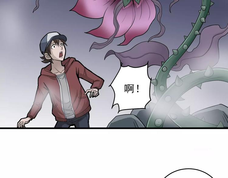 第12话 藏宝图之怪花(1/2)-第12话