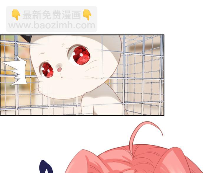 第4话 ：救命啊！(1/2)-第4话