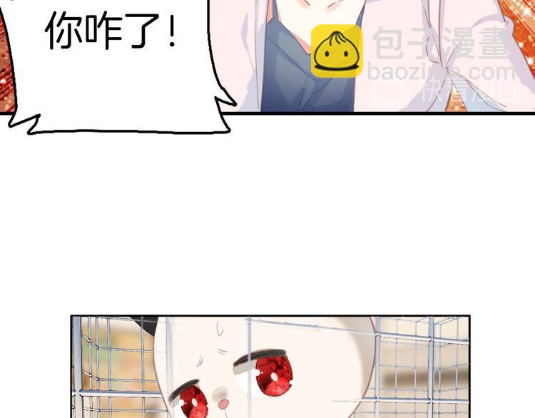 第4话 ：救命啊！(1/2)-第4话