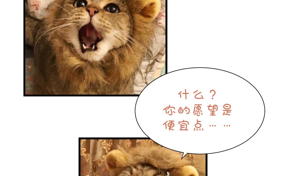 🍹何故为卿狂 第166话 出事 第43页