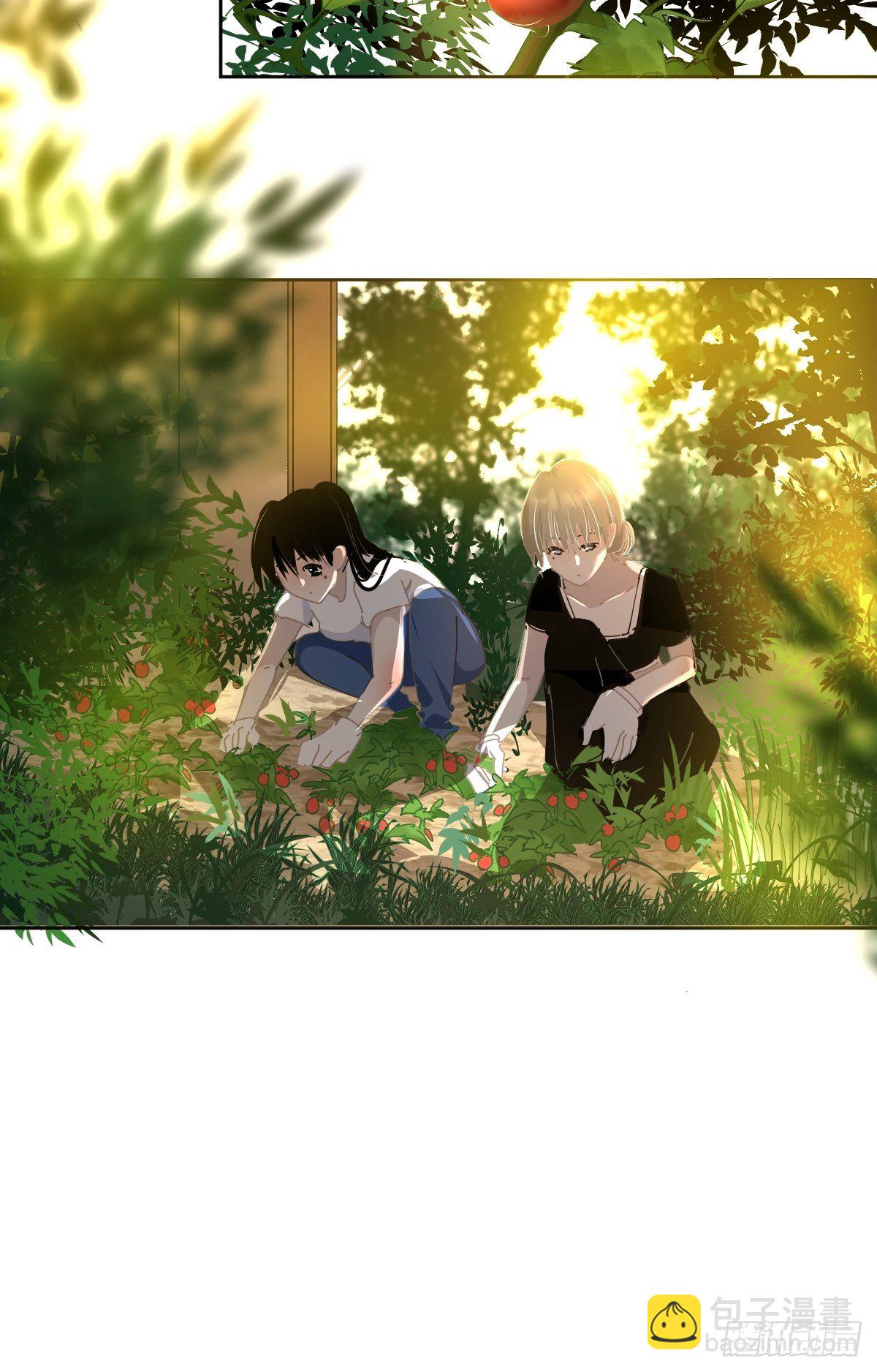 49.卡罗拉-第54话