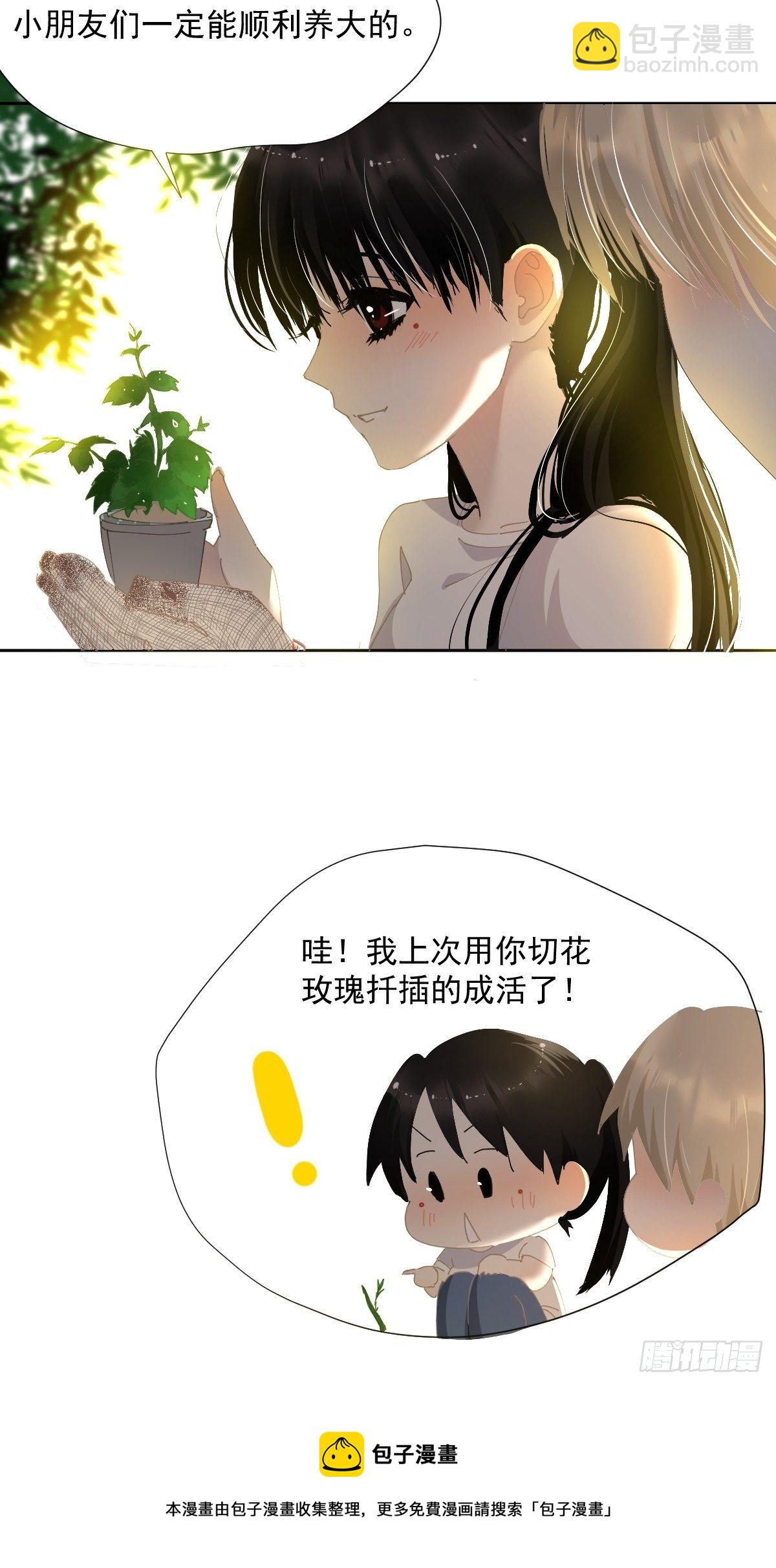 49.卡罗拉-第54话