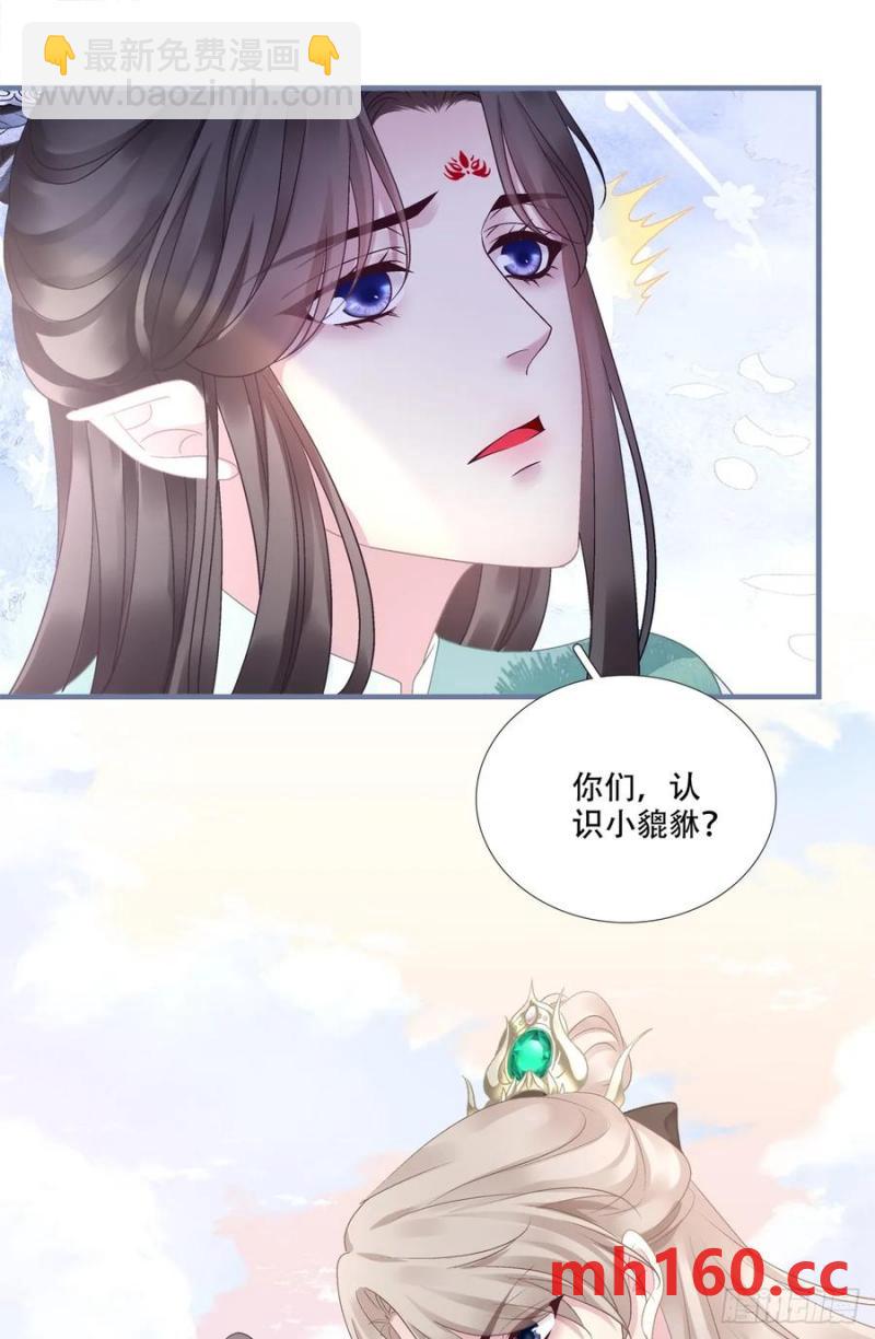 灯芒深夜幽会！-第120话