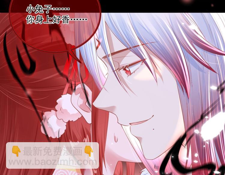 序章 一起云养兔吧！(1/2)-第2话