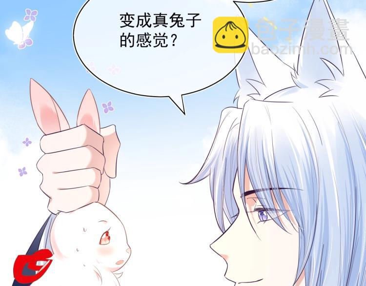 序章 一起云养兔吧！(1/2)-第2话