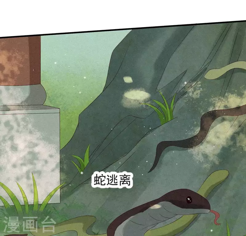 第71话 奇怪的哥哥们(1/3)-第72话