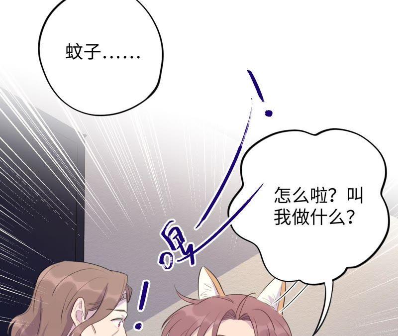 第72话 爱心补给与不诚实伙伴(1/2)-第74话