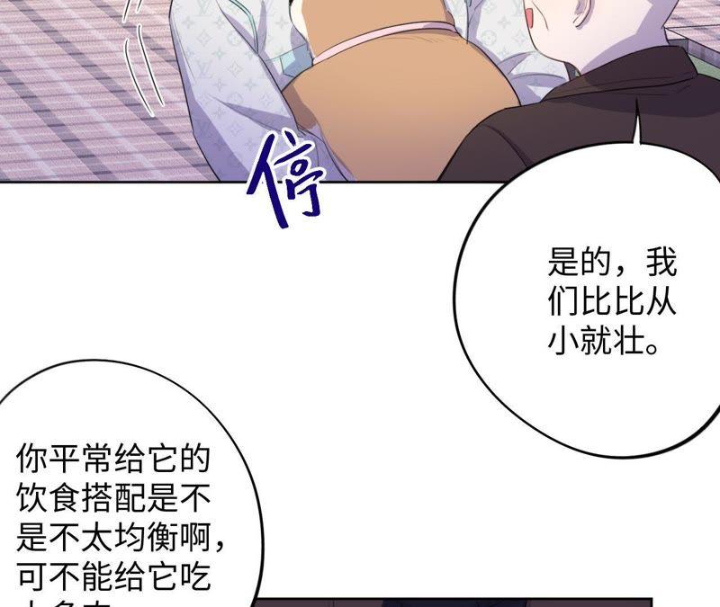 第74话 反击战开始！(1/2)-第76话