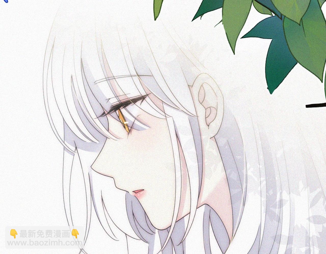 第152夜 天使【中】(1/2)-第168话