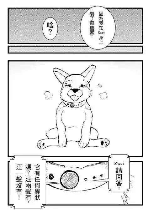 正片18-第82话