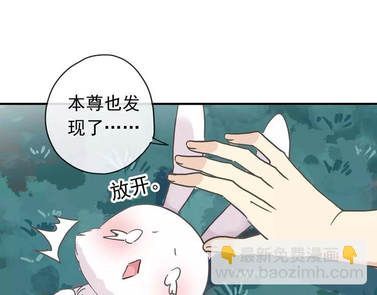 妖界篇05 为你造了一个能遮风挡雨家~(1/2)-第128话