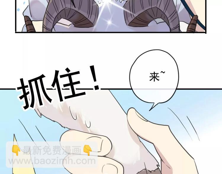 番外 剃羊毛-第166话