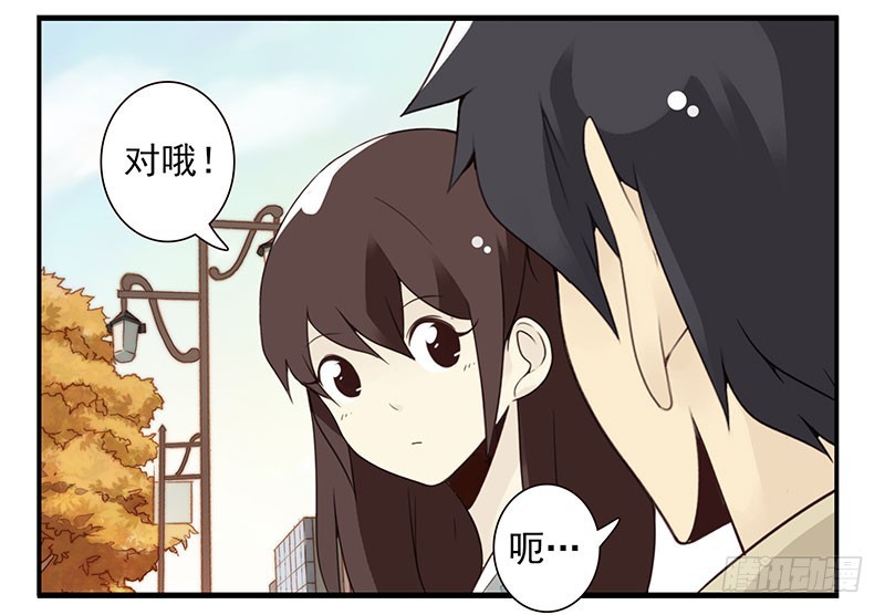 第五季41-42：买个窝吧-第220话