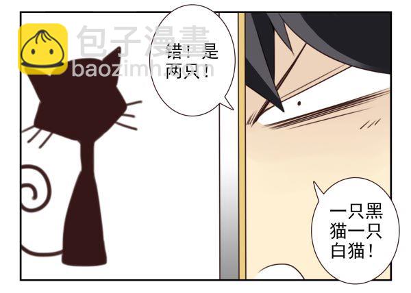 第三季11-12：那只白猫-第74话
